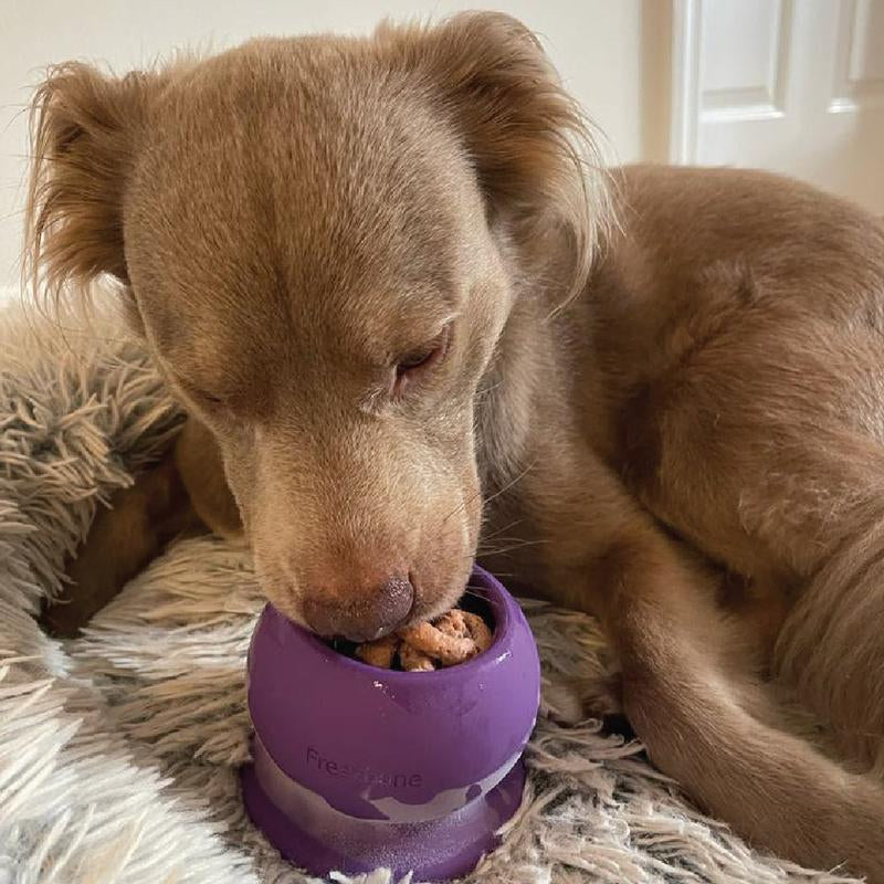 Freezball: The Ultimate Durable and Fillable Chew Bone for Happy Dogs