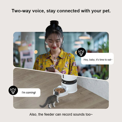 Revolutionize Pet Care with the HEYBO Automatic Pet Feeder: App-Controlled & Camera-Equipped!